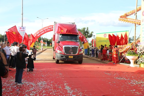 Thiết lập, quản lý, giám sát, phát triển mã số vùng trồng, mã cơ sở đóng gói  phục vụ xuất khẩu 